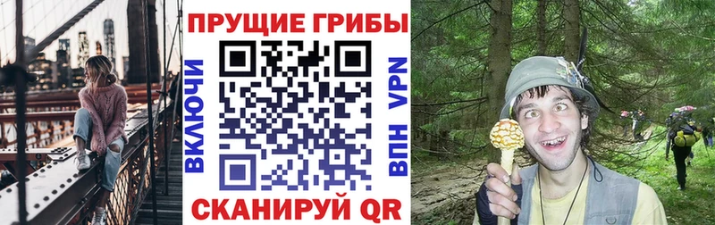 ОМГ ОМГ как войти  Лянтор  Псилоцибиновые грибы Magic Shrooms 